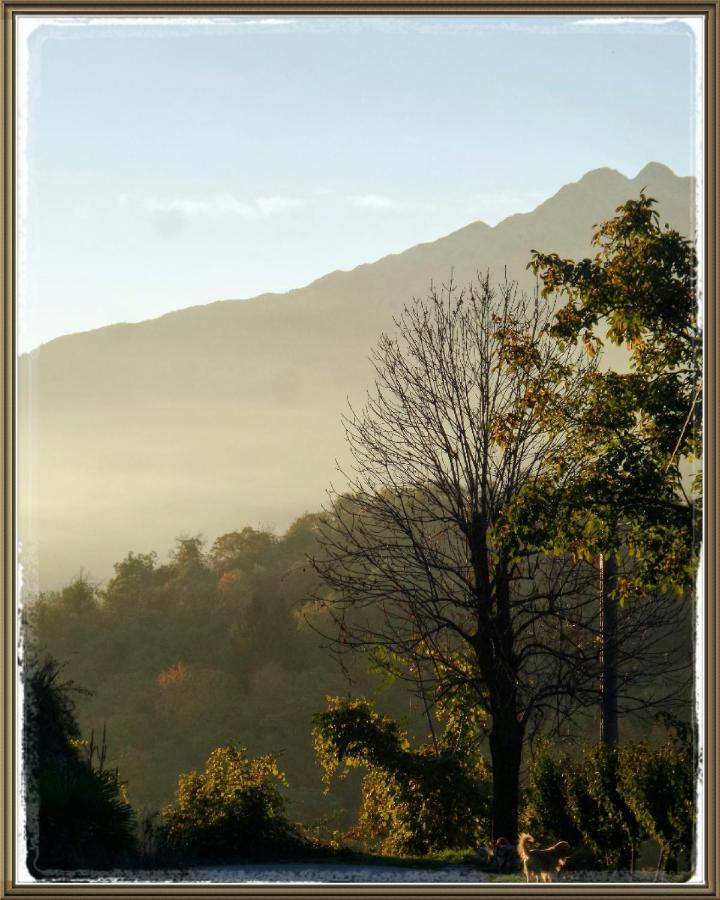 Cuntro' Granda Bed and Breakfast Boves Exterior foto